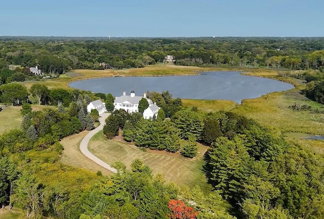 344 Old Sutton Rd, Barrington, IL 60010 - aerial view of property's location with a forest and a large body of water