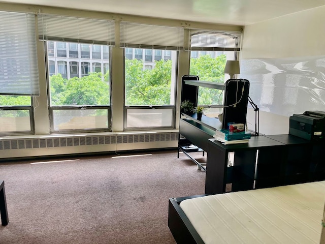 interior space with radiator, carpet flooring, and a healthy amount of sunlight