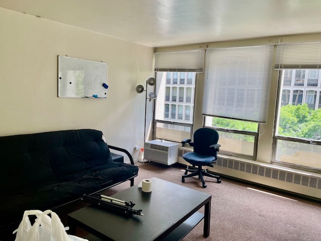 living room with radiator and carpet