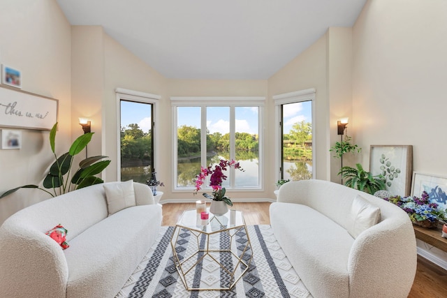 living room featuring wood-type flooring and vaulted ceiling