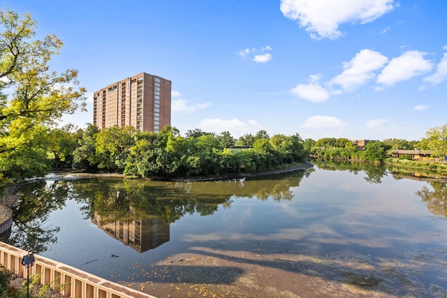 1204 Hawthorne Ln, Hinsdale, IL 60521 - water view