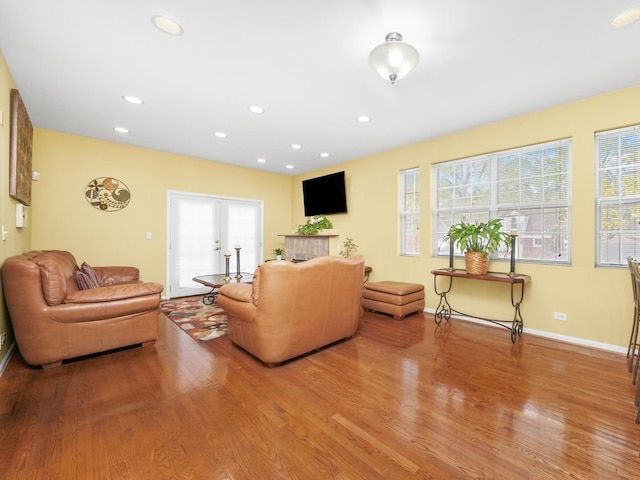 living room featuring light hardwood / wood-style floors and french doors