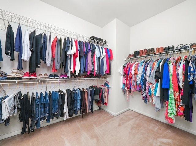 walk in closet with carpet flooring