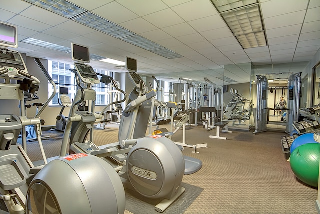 exercise room with carpet floors and a paneled ceiling