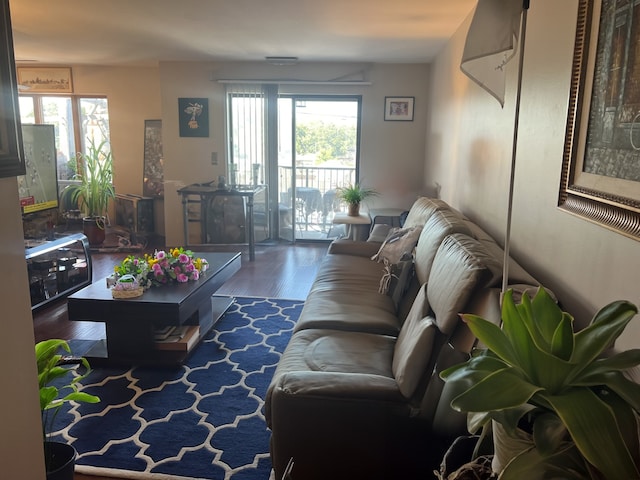 living room with dark wood-type flooring and a healthy amount of sunlight