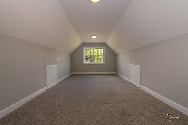 additional living space with carpet and lofted ceiling