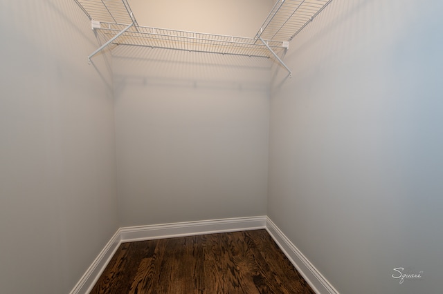 spacious closet featuring wood-type flooring