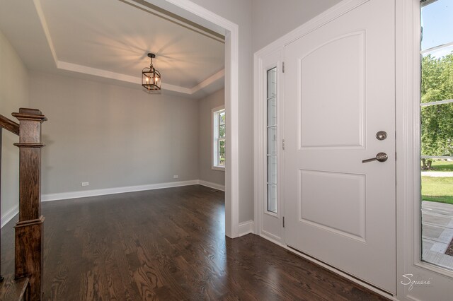 entrance foyer featuring a tray ceiling, dark wood-type flooring, and plenty of natural light