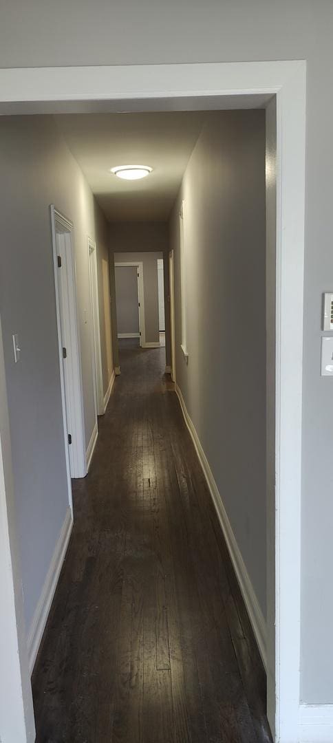 hallway with dark hardwood / wood-style flooring