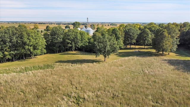 view of local wilderness with a rural view