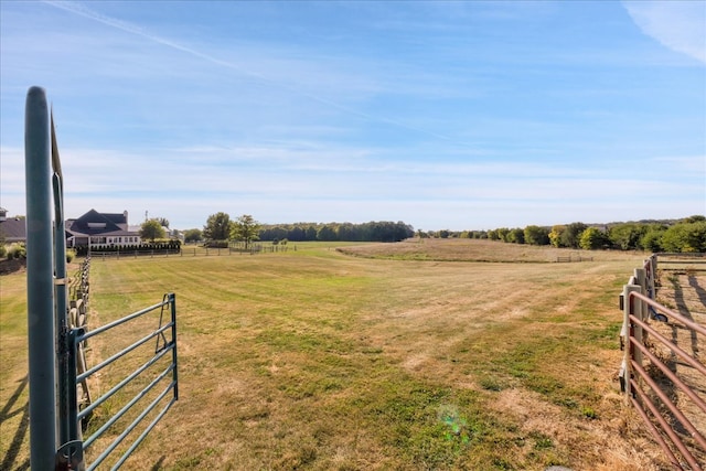 view of yard featuring a rural view