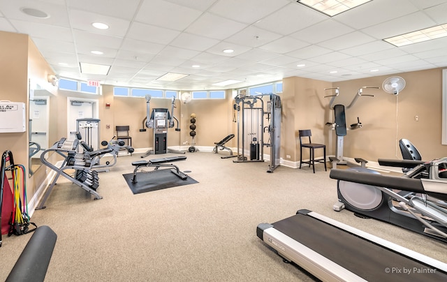 exercise room featuring a paneled ceiling and carpet