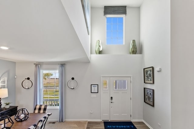 entryway with wood-type flooring