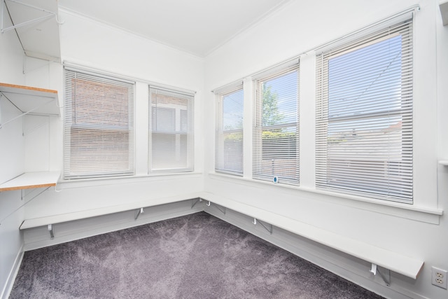 walk in closet featuring dark carpet