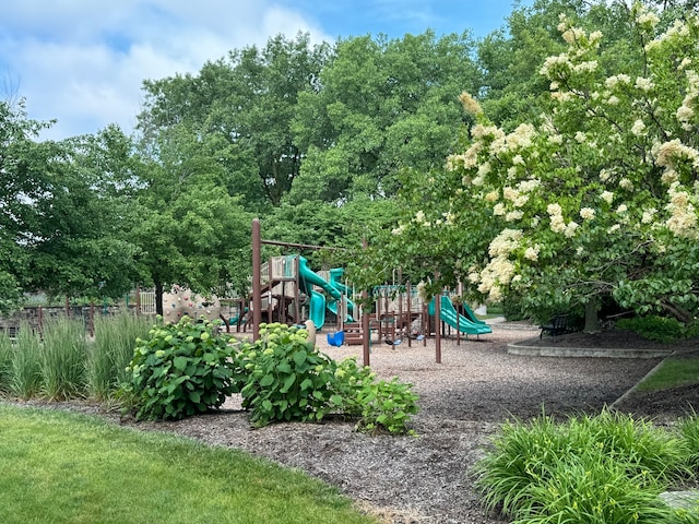 view of jungle gym