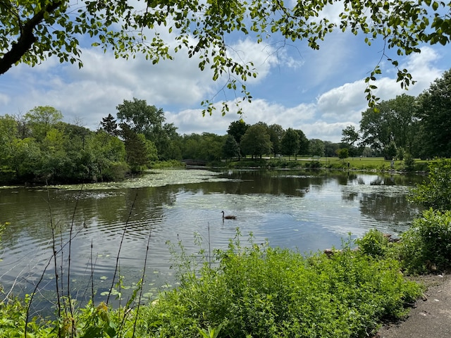 water view