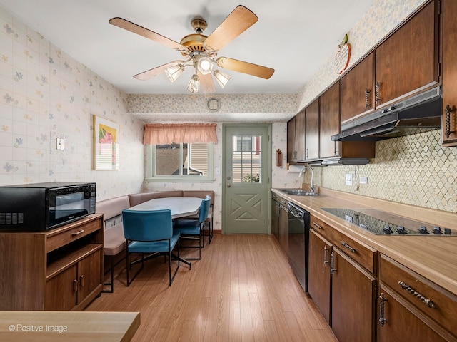 kitchen with light wood-type flooring, black appliances, sink, and ceiling fan