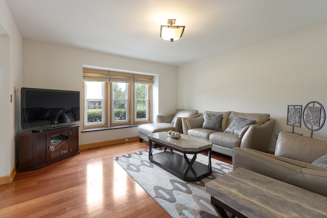 living room with light hardwood / wood-style flooring