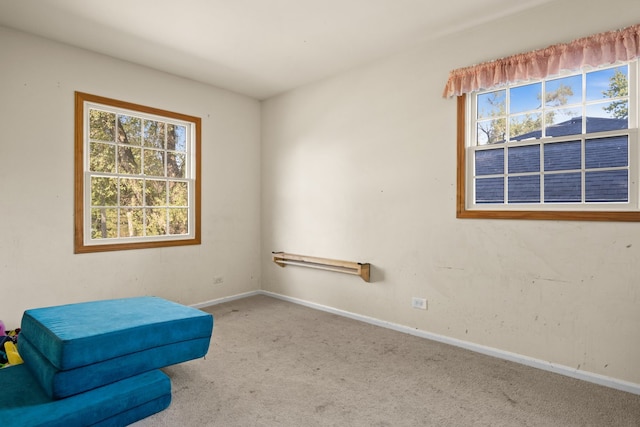 living area featuring carpet flooring