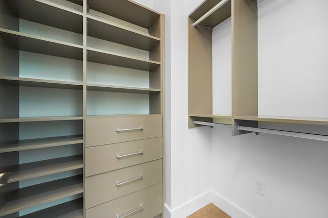 view of spacious closet