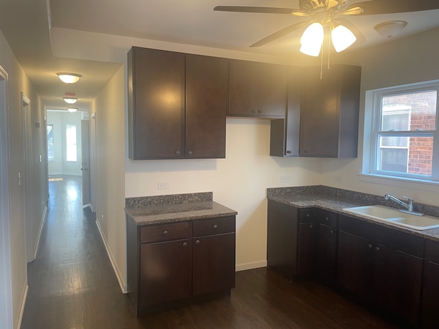 kitchen featuring ceiling fan, dark brown cabinets, sink, and dark hardwood / wood-style flooring