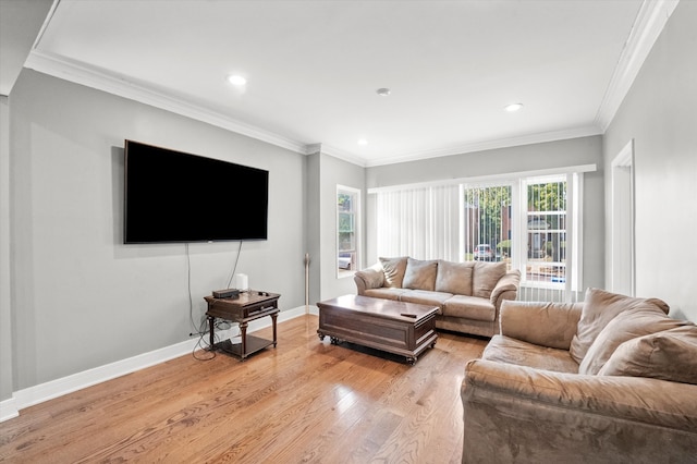 living room with light wood-type flooring and crown molding