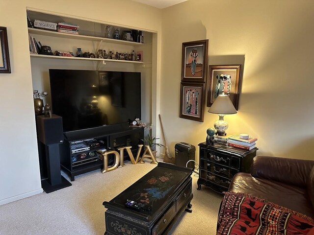840 Elder Rd Unit A414, Homewood, IL 60430 - view of carpeted living area