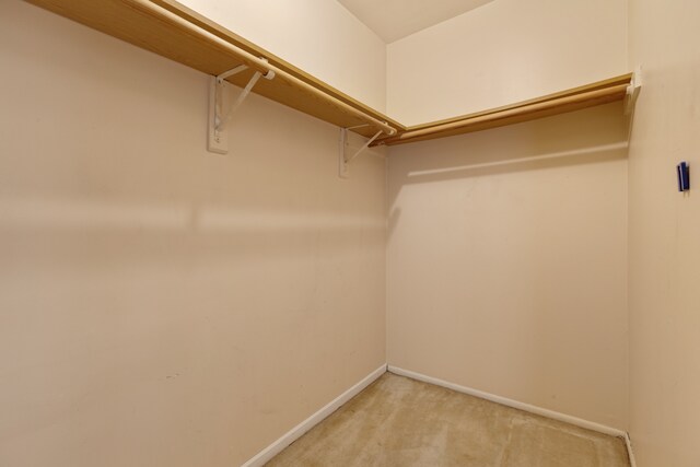 walk in closet featuring light colored carpet