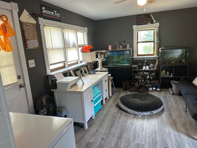 interior space featuring white cabinets, ceiling fan, and light wood-type flooring