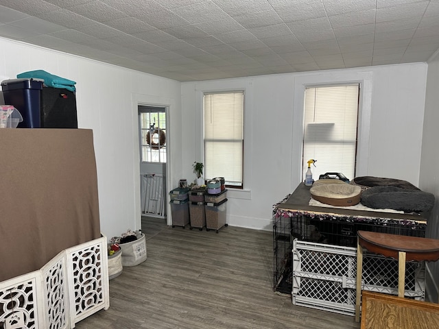 interior space featuring dark hardwood / wood-style floors