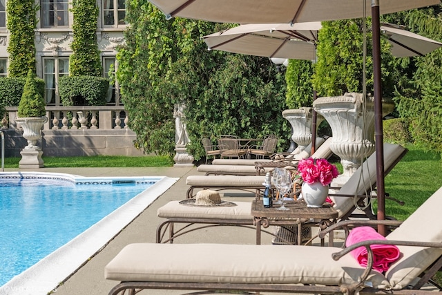 view of swimming pool with a patio area