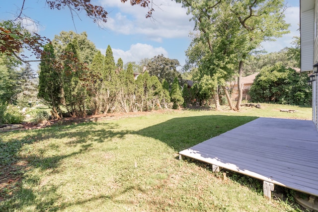 view of yard featuring a deck