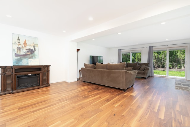 living room featuring light wood-type flooring