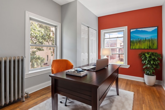 office space featuring a healthy amount of sunlight, radiator heating unit, and light hardwood / wood-style flooring