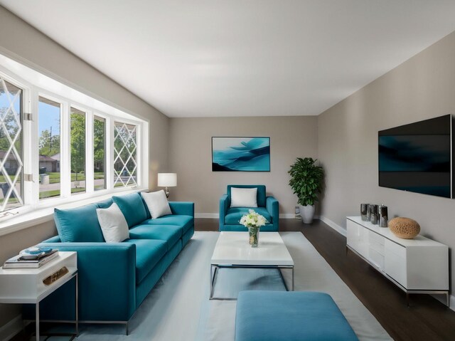 living room featuring dark wood-type flooring