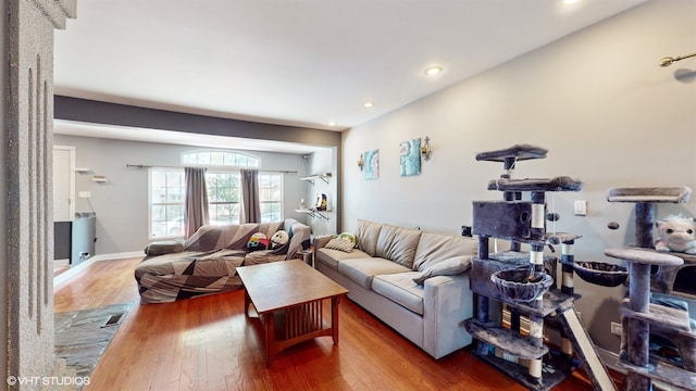 living room featuring wood-type flooring