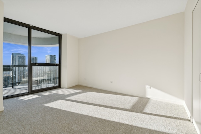 carpeted spare room featuring expansive windows