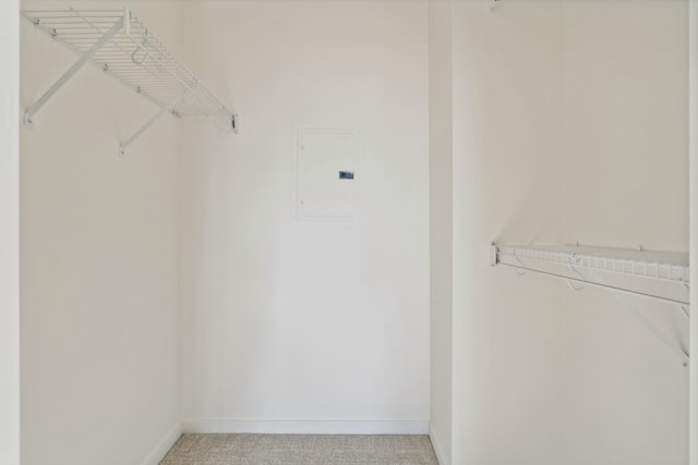 spacious closet with carpet flooring and electric panel