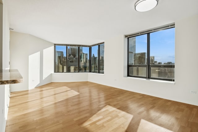 unfurnished living room featuring light hardwood / wood-style flooring