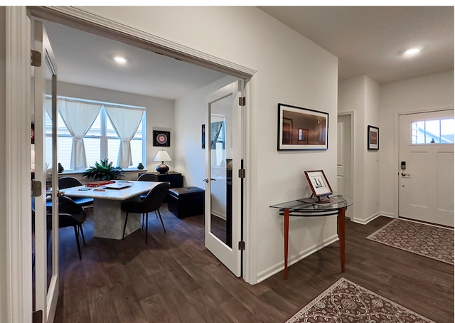 entryway featuring a healthy amount of sunlight and dark hardwood / wood-style floors