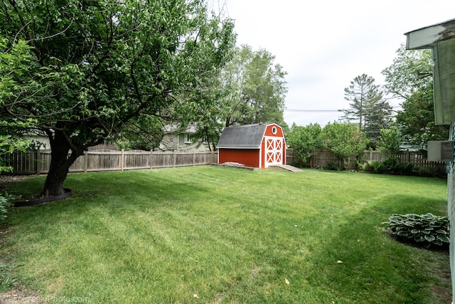 view of yard featuring a shed