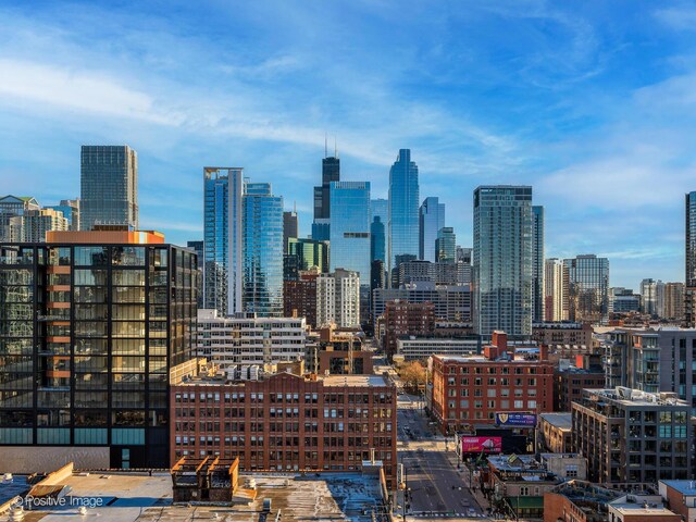 757 N Orleans St Unit 1612, Chicago, IL 60654 - view of city skyline