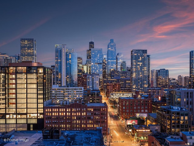 757 N Orleans St Unit 1612, Chicago, IL 60654 - view of city skyline