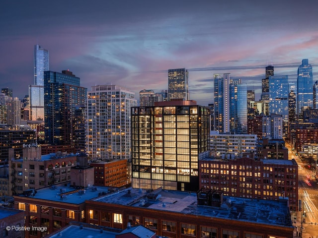 757 N Orleans St Unit 1612, Chicago, IL 60654 - view of city skyline
