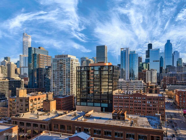 757 N Orleans St Unit 1612, Chicago, IL 60654 - skyline view