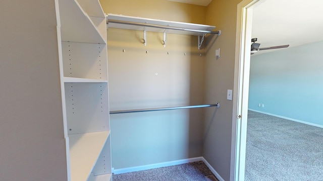 walk in closet featuring carpet floors