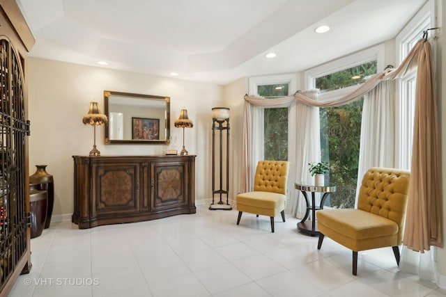 living area with a tray ceiling