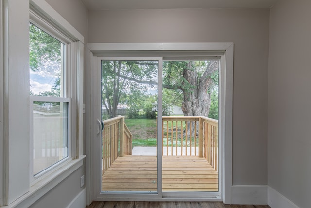 doorway featuring wood-type flooring and plenty of natural light