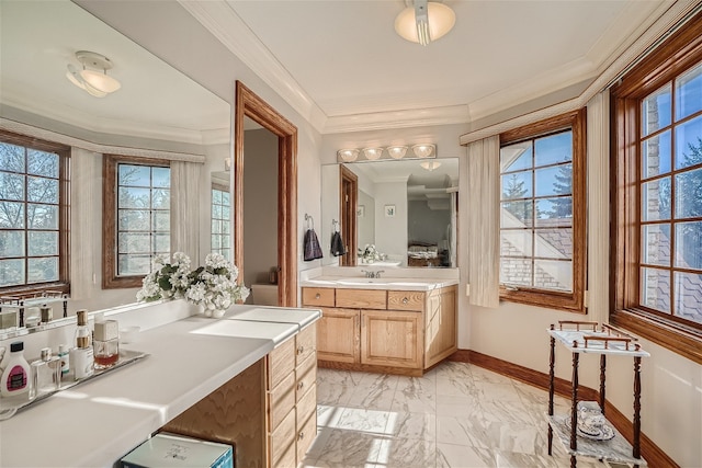 bathroom with vanity, crown molding, and a healthy amount of sunlight