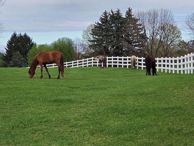 view of yard with a rural view